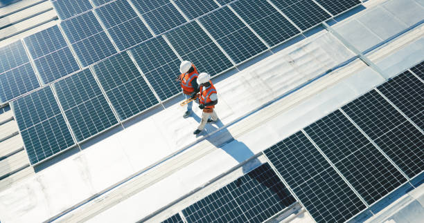 Best Roof Moss and Algae Removal  in Parma, ID